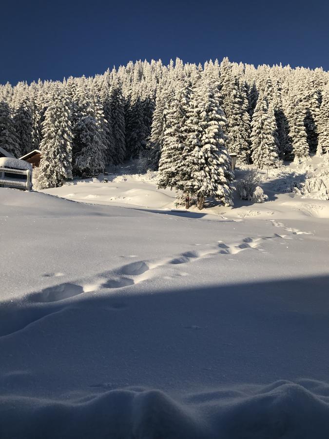 Battagliahutte Pension Malix Buitenkant foto